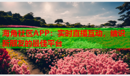 海角社区APP：实时直播互动，结识新朋友的最佳平台